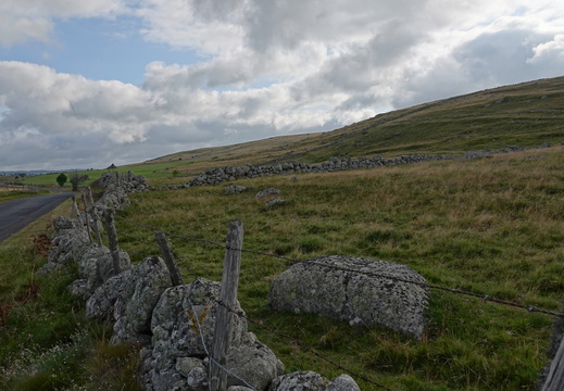 Aubrac 007 DSC04326