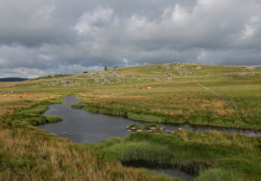 Aubrac