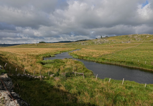 Aubrac 009 DSC04393