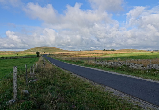 Aubrac 001 DSC04267