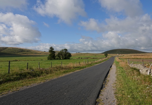 Aubrac 002 DSC04277