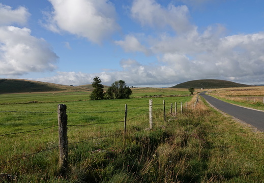 Aubrac 003 DSC04281