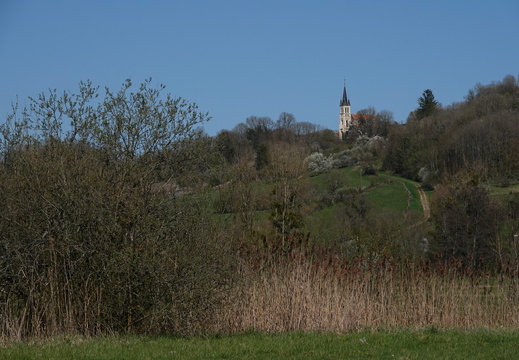 Laferté-sur-Amance 001 DSC03146
