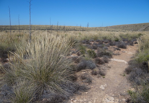 Las Almoladelas 005