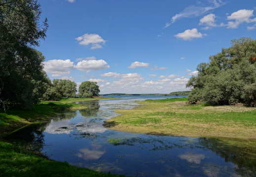 Paysages